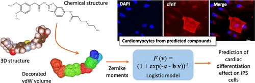 Abstract figure: iPS細胞の心筋細胞分化誘導化合物の計算機的設計